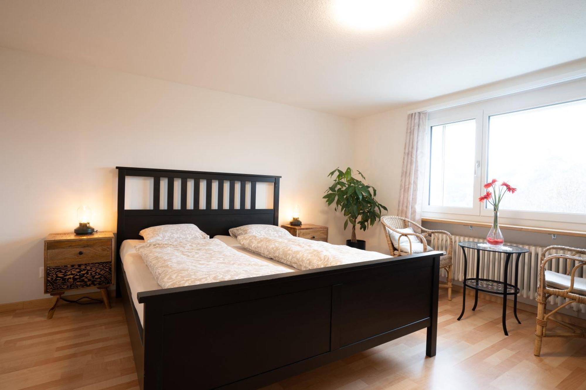 Large Apartment 8beds great for family&friends, Mountain View Amden Eksteriør billede